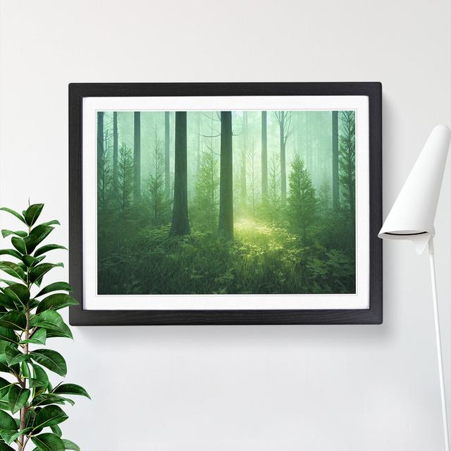 An Unbelievable Forest - Single Picture Frame Print Alpen Home Frame Colour: Black, Size: 46cm H x 64cm W on Productcaster.