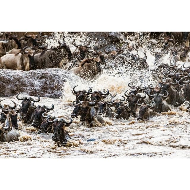 Wildebeest In Masai Mara by Skynesher - Wrapped Canvas Art Prints Alpen Home Size: 20cm H x 30cm W on Productcaster.