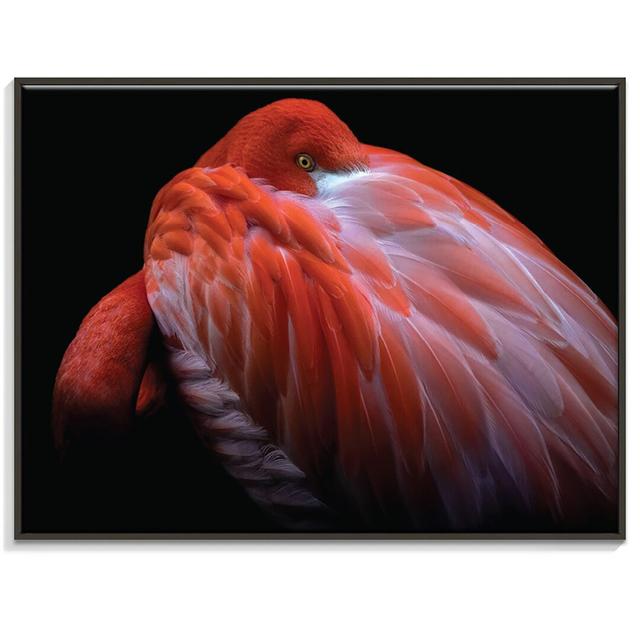 Photographers Lane - Wrapped Canvas Print World Menagerie Size: 76cm H x 102cm W, Frame Options: Black on Productcaster.