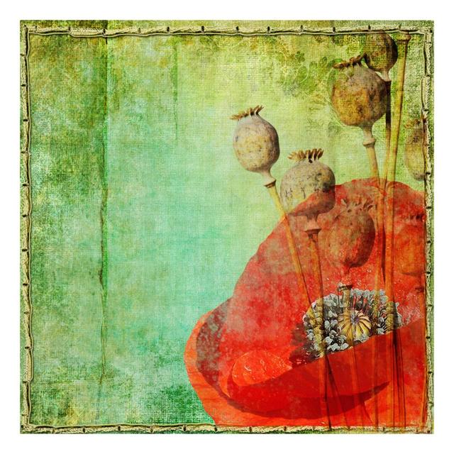 Poppy Stalks - Wrapped Canvas Graphic Art Rosalind Wheeler Size: 50cm H x 50cm W on Productcaster.