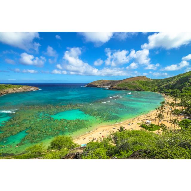 Hanauma Bay by Bennymarty - Wrapped Canvas Photograph Alpen Home Size: 61cm H x 91cm W on Productcaster.