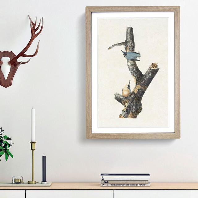 Red-Breasted Nuthatch Birds by John James Audubon - Picture Frame Painting Print East Urban Home Frame Option: Oak Framed, Size: 65cm H x 48cm W x 2cm on Productcaster.