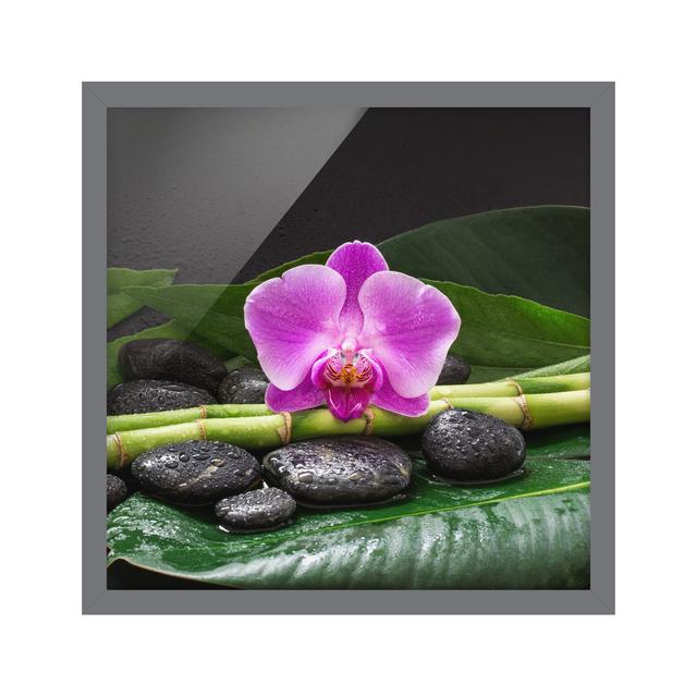 Green Bamboo with Orchid Flower - Picture Frame Graphic Art Bloomsbury Market Size: 50cm H x 50cm W x 2cm D, Frame Option: Grey on Productcaster.