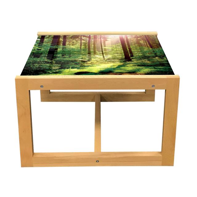 Forest Coffee Table, Forest In Spring Time Sunset Moss Woods Leaf Wilderness Fantasy View Print, Acrylic Glass Center Table With Wooden Frame For Offi on Productcaster.