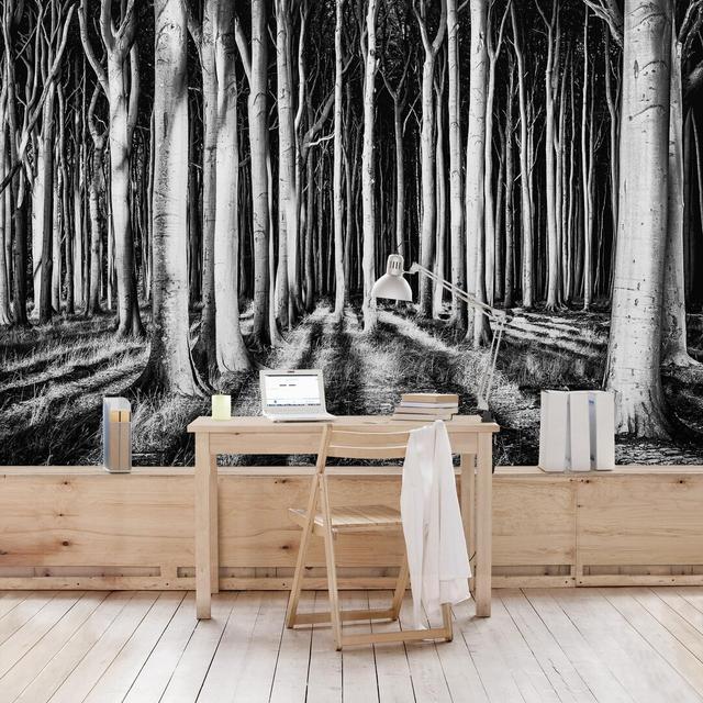 Ghostly Forest Semi-Gloss Wallpaper Roll East Urban Home Size: 3.36m x 225cm, Material quality: Premium (150g/m²) on Productcaster.