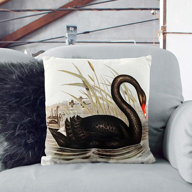 Black Swan by Elizabeth Gould Cushion with Filling East Urban Home Size: 55cm H x 55cm W x 20cm D on Productcaster.