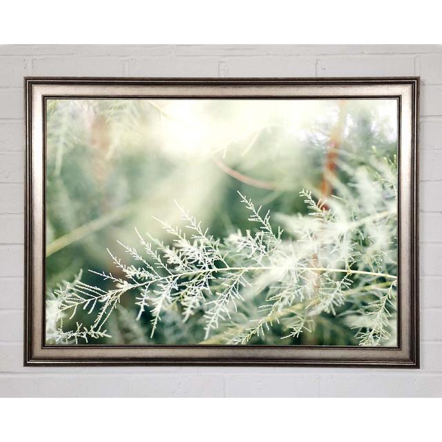 Winter Snow Leaves - Single Picture Frame Art Prints Brayden Studio Size: 29.7cm H x 42cm W x 1.5cm D on Productcaster.