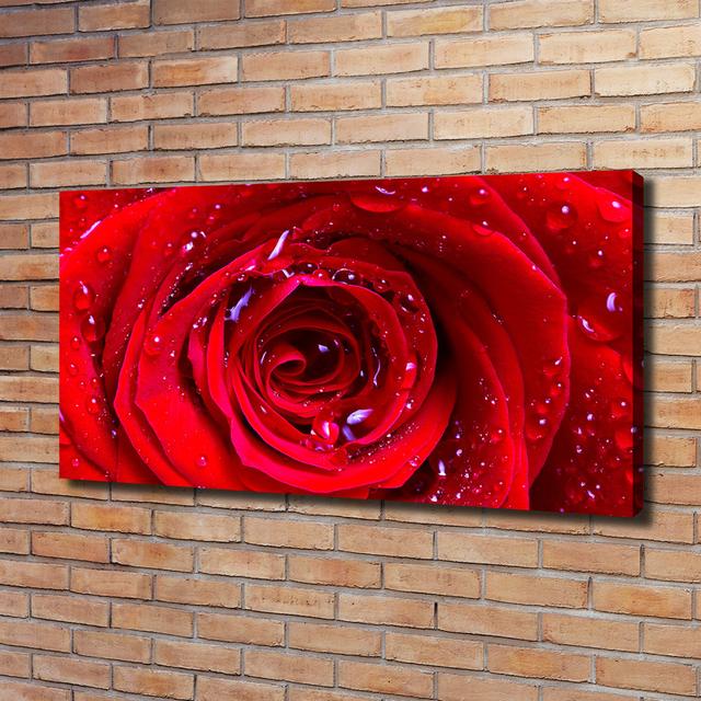 Rose Flower - Unframed Art Prints on Canvas Brayden Studio on Productcaster.