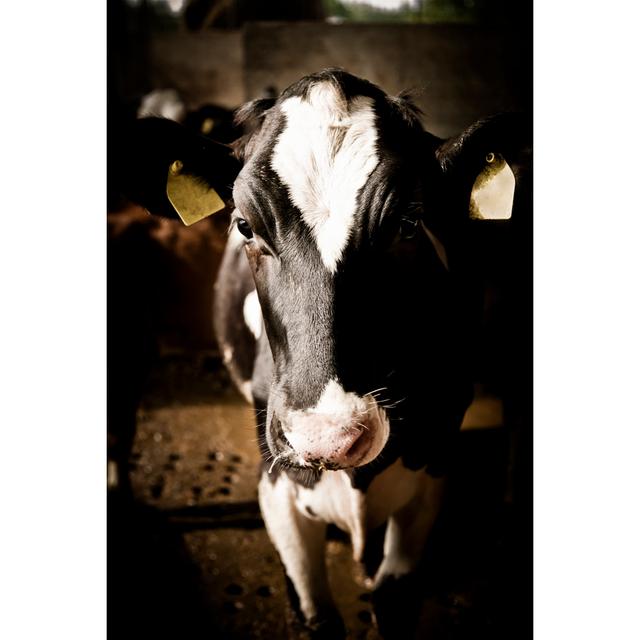 Cow Inside The Farm by Mauro_grigollo - Print Brambly Cottage Size: 76cm H x 51cm W on Productcaster.