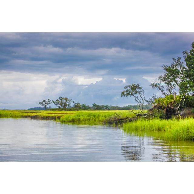 Lush Marsh Vista by BeachcottagePhotography - No Frame Print on Canvas 17 Stories Size: 51cm H x 76cm W on Productcaster.