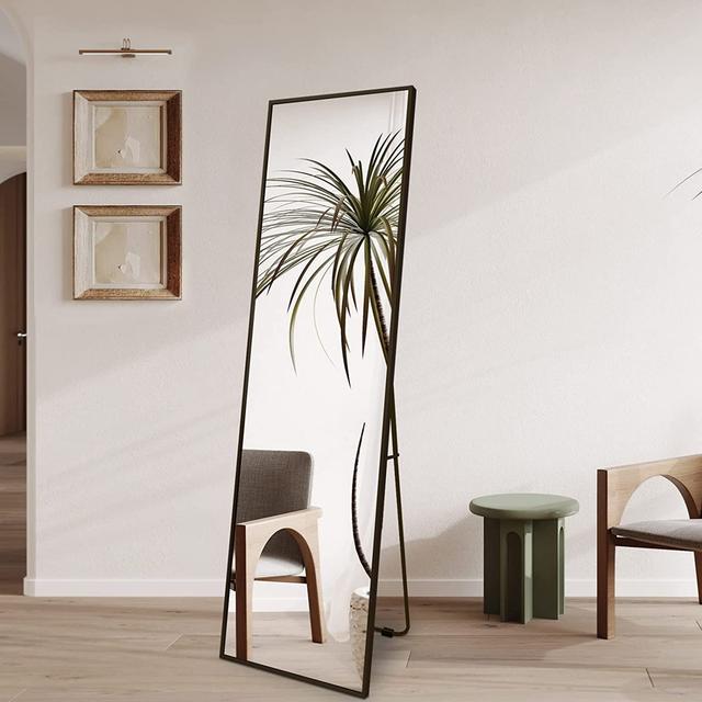 Aivis Metal Framed Wall Mounted Full Length Mirror Canora Grey Finish: Black on Productcaster.