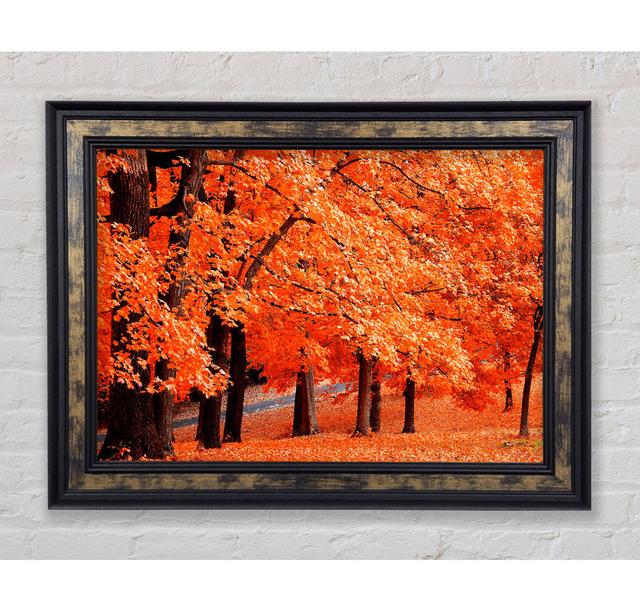 Orange Tree Parade Framed Print Bright Star Size: 84.1cm H x 142.2cm W on Productcaster.