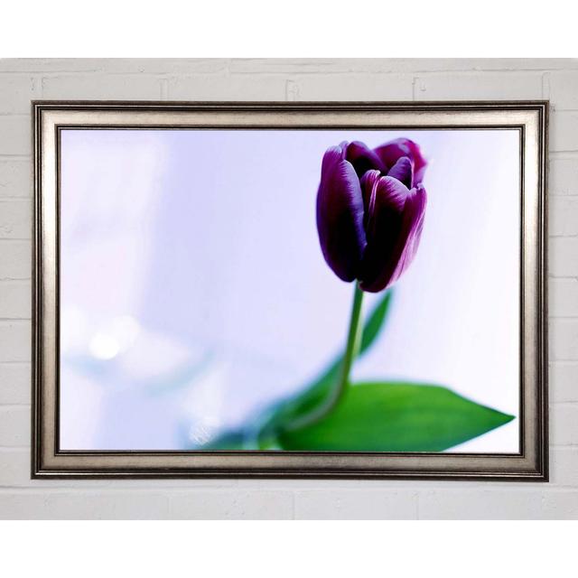 Single Purple Tulip - Single Picture Frame Art Prints Brayden Studio Size: 21cm H x 29.7cm W x 1.5cm D, Format: Gunmetal Framed Paper on Productcaster.