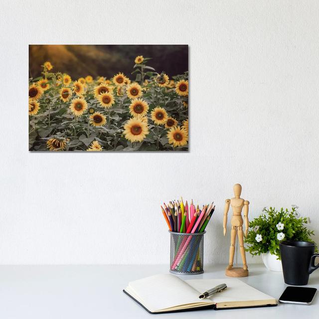 Field Of Gold I by Ann Hudec - Wrapped Canvas Print August Grove Size: 20.32cm H x 30.48cm W x 1.905cm D on Productcaster.