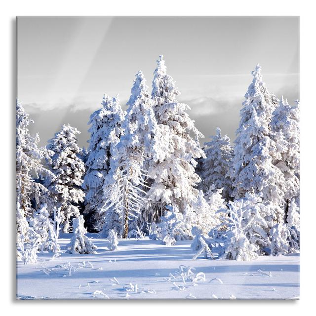 Winter Wonderland - No Frame Print on Glass Ophelia & Co. Size: 80cm H x 80cm W x 0.4cm D on Productcaster.