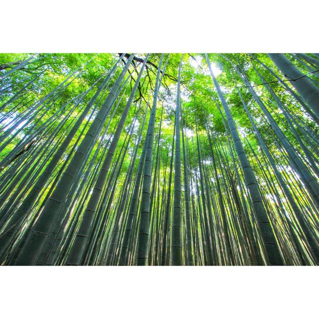 Yokley Arashiyama Bamboo Grove, Japan - Wrapped Canvas Photograph 17 Stories Size: 30cm H x 46cm W x 3.8cm D on Productcaster.