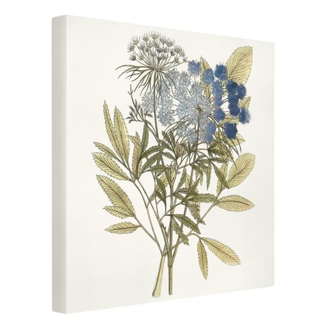 Wild Herb Schautfalel I by Kein Künstler - Wrapped Canvas Graphic Art August Grove on Productcaster.