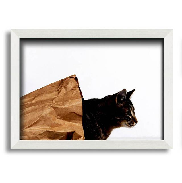 Cat In A Bag - Print 17 Stories Size: 59.7cm H x 84.1cm W x 10cm D, Format: White Framed Paper on Productcaster.