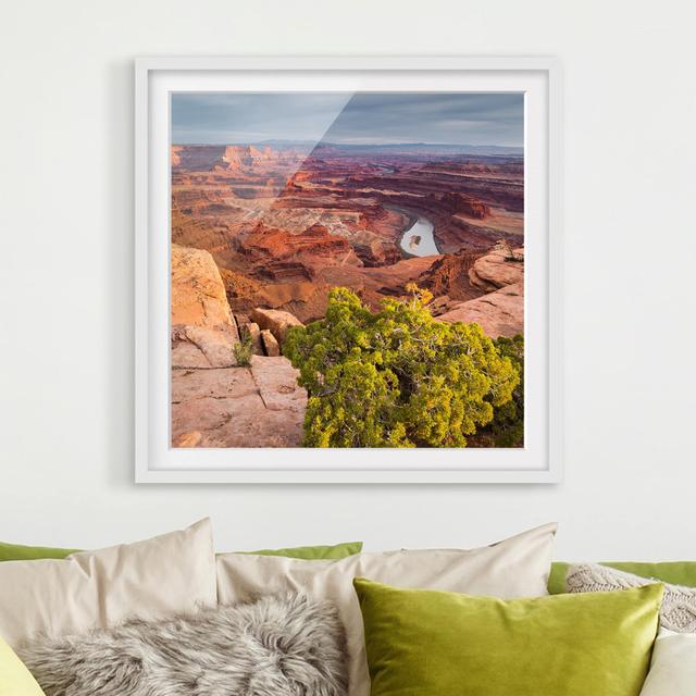 Gerahmtes Poster Dead Horse Point, Canyonlands National Park East Urban Home Größe: 30 cm H x 30 cm B, Rahmenoptionen: Mattes Weiß on Productcaster.