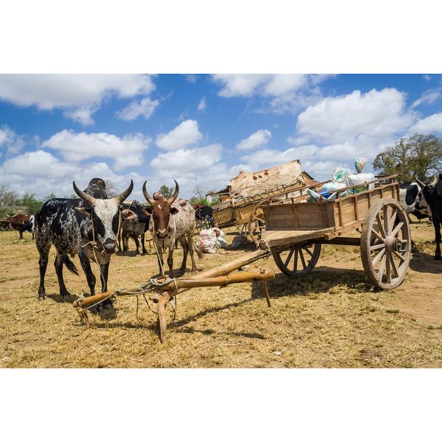 Zebus And Carts by Pierivb - Wrapped Canvas Print Natur Pur Size: 81cm H x 122cm W on Productcaster.