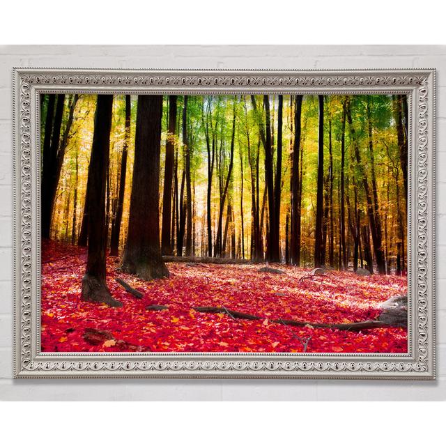 Autumn Leaves - Single Picture Frame Art Prints Bright Star Size: 42cm H x 59.7cm W x 3cm D on Productcaster.