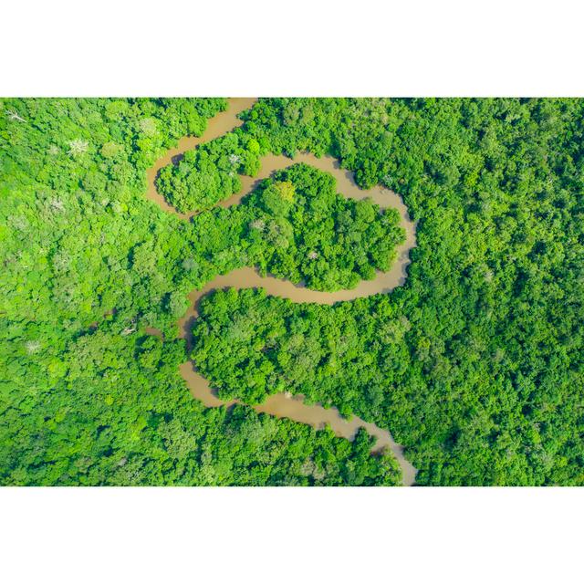 Meandering Jungle River In The Rainforest Of The Congo Basin by Guenterguni - No Frame Print on Canvas 17 Stories Size: 81cm H x 122cm W on Productcaster.