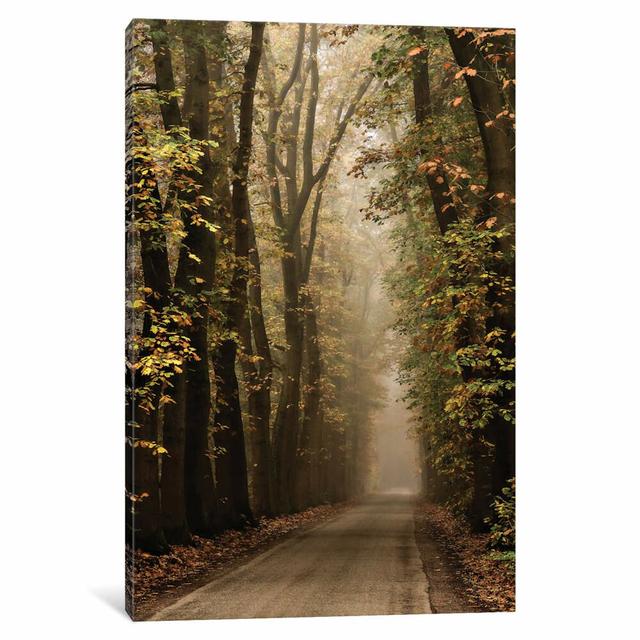 Folia by Lars Van De Goor - Wrapped Canvas Print East Urban Home Size: 101.6cm H x 66.04cm W x 3.81cm D on Productcaster.