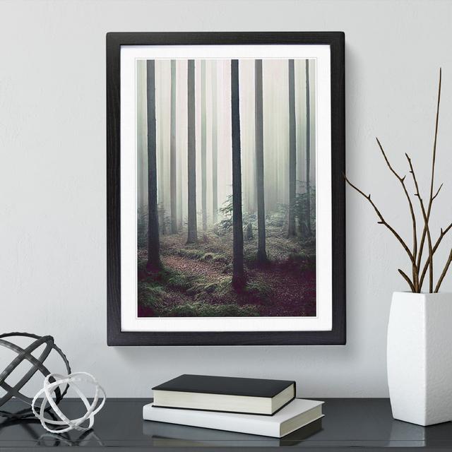 A Quiet Forest - Graphic Art Alpen Home Size: 36cm H x 27cm W x 2cm D, Format: Black Framed, Matte Colour: White on Productcaster.