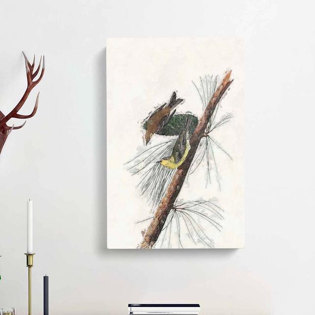 Pine Creeping Warbler by John Audubon - Wrapped Canvas Painting Print East Urban Home Size: 76cm H x 50cm W x 3cm D on Productcaster.