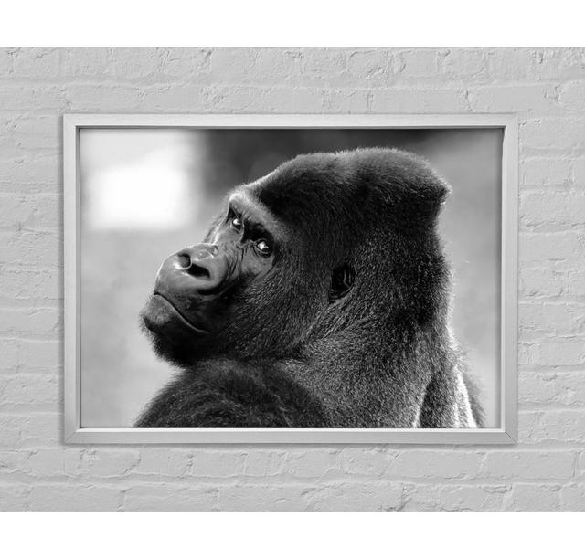 Gorilla Face - Print Bright Star Size: 84.1cm H x 118.9cm W x 3.3cm D on Productcaster.