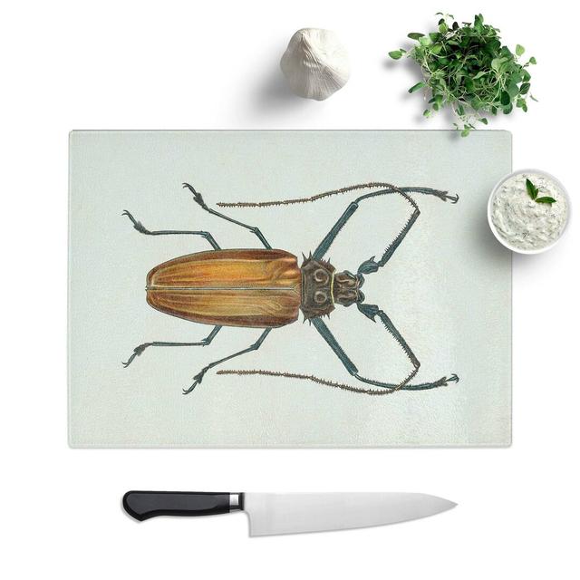 Tempered Glass Beetle Illustration Pl. 11 Chopping Board East Urban Home Size: 28.5 cm W x 20 cm L on Productcaster.