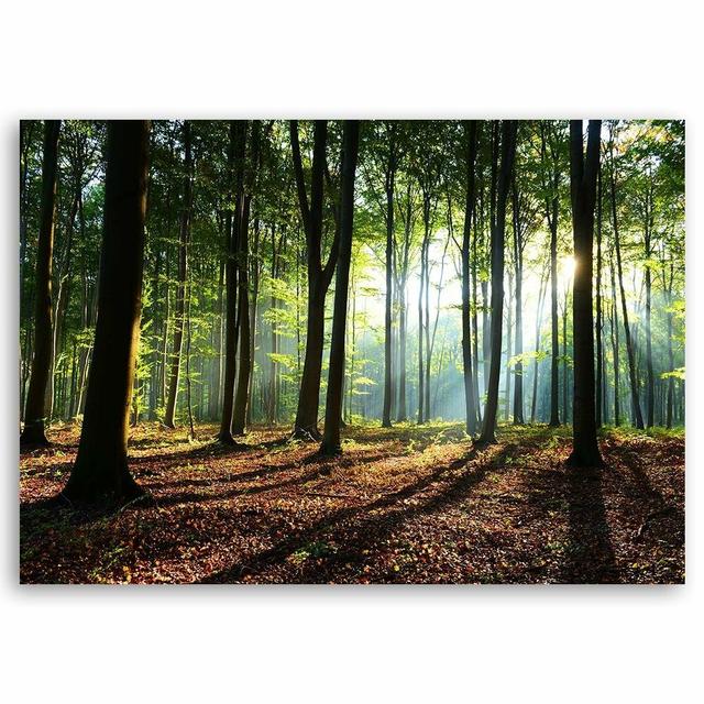 Green Forest - Wrapped Canvas Photographic Print Alpen Home Size: 80cm H x 120cm W on Productcaster.