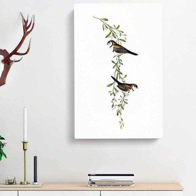 Black-Rumped Finch Birds by Elizabeth Gould - Wrapped Canvas Painting Print East Urban Home Size: 60cm H x 40cm W x 3cm D on Productcaster.