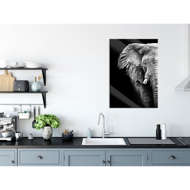 Elephant Portrait - Unframed Photograph on Glass 17 Stories Size: 80cm H x 60cm W x 0.4cm D on Productcaster.