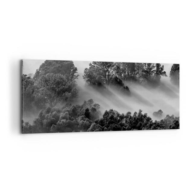 Black and White Trees Fog - Wrapped Canvas Panoramic Photograph Union Rustic Size: 50cm H x 120cm W x 1.8cm D on Productcaster.