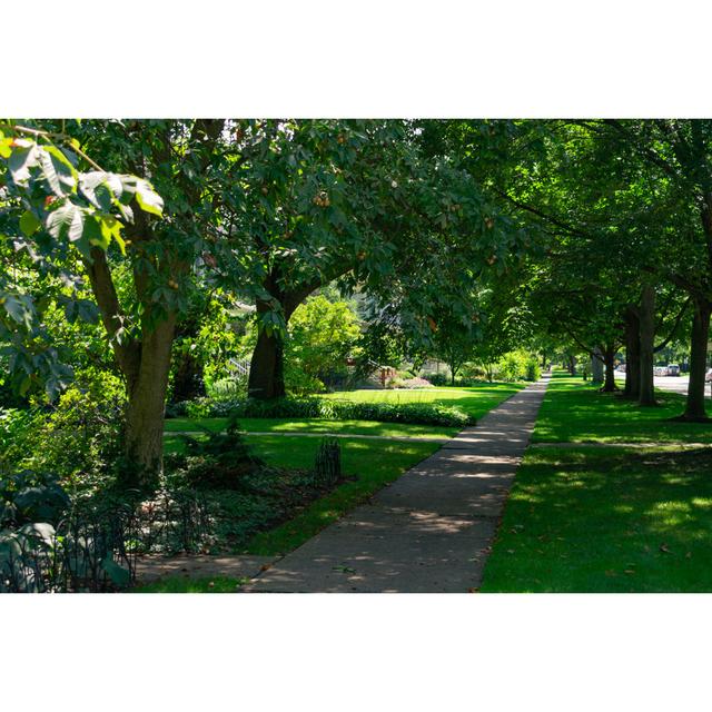 Green Trees in Evanston Illinois by James Andrews - Wrapped Canvas Photograph 17 Stories Size: 20cm H x 30cm W on Productcaster.