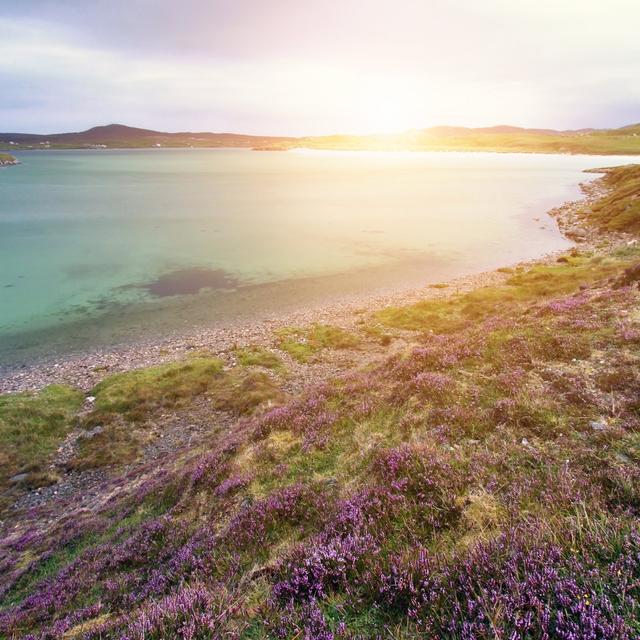 Uig bay on isle of lewis House of Hampton Size: 30cm H x 30cm W on Productcaster.