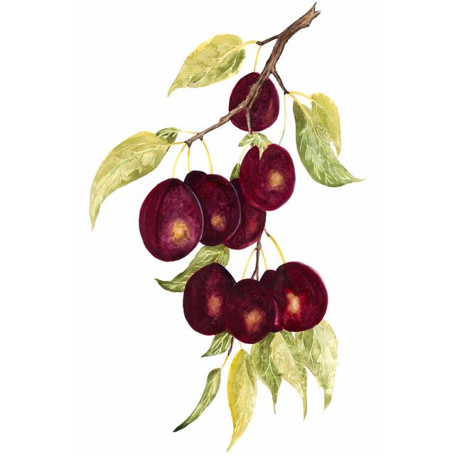 Plums - Wrapped Canvas Painting Marlow Home Co. Size: 30cm H x 20cm W on Productcaster.