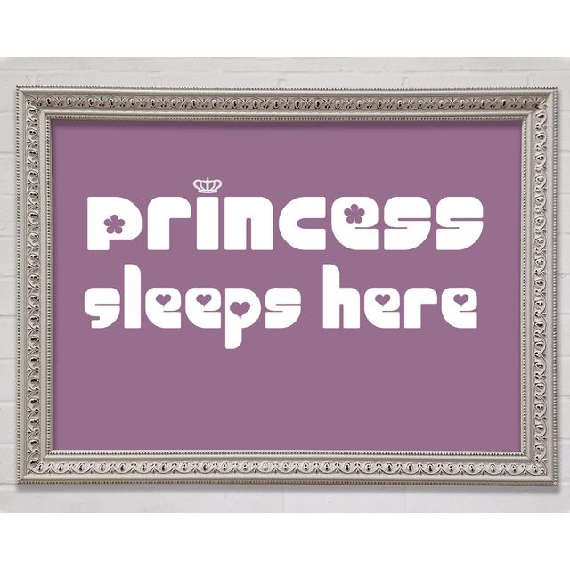 Princesss Sleeps Here 2 Grey Framed Print Happy Larry Size: 84.1cm H x 118.9cm W x 3cm D, Colour: Dusty Pink on Productcaster.