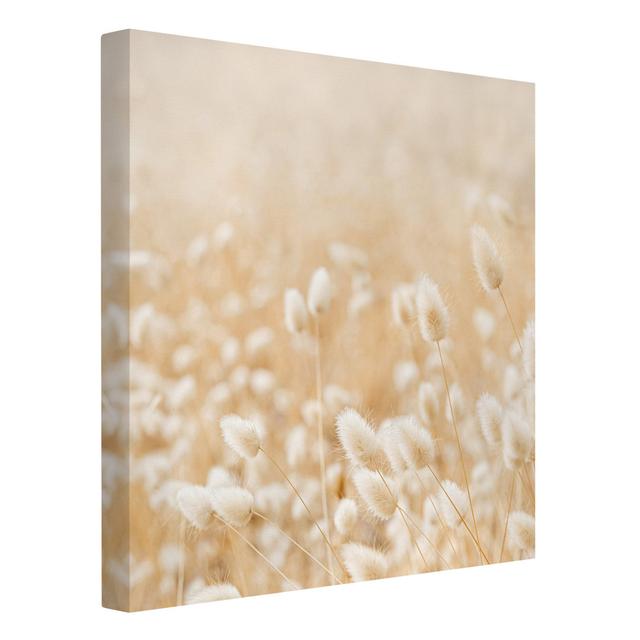 Delicate Grasses - Wrapped Canvas Photograph Ebern Designs Format: 260g/m² canvas, Size: 60cm H x 60cm W on Productcaster.