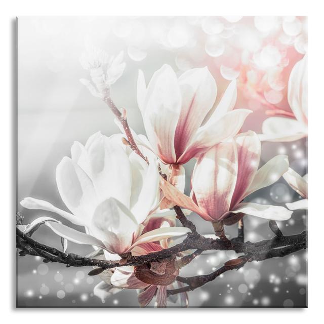 Glasbild Beautiful Magnolia Close -up, Black and White Detail Brayden Studio Größe: 80 cm H x 80 cm B x 0.4 cm T on Productcaster.