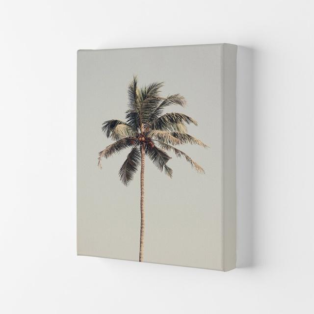 Palm Tree by the Beach by Victoria - Wrapped Canvas Photograph Print Pergo Classics Size: 59.4cm H x 42cm W x 4cm D, Format: Wrapped Canvas on Productcaster.