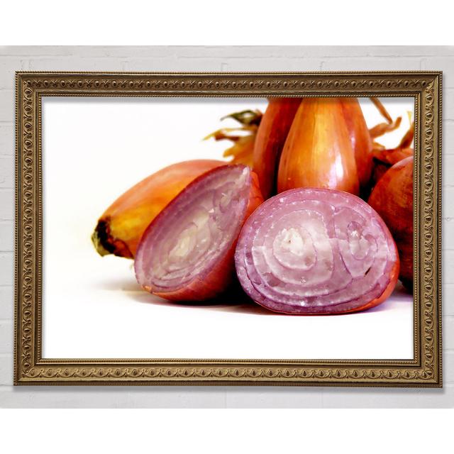 Onion Affair Framed Print Bright Star Size: 84.1cm H x 118.9cm W x 3cm D on Productcaster.