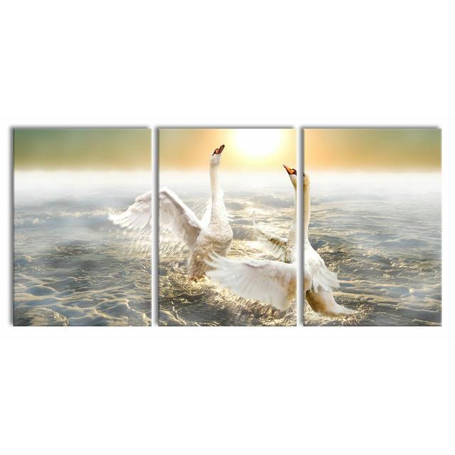 Swans in the Sea 3-Piece Photograph Set on Canvas East Urban Home Size: 100 cm H x 210 cm W on Productcaster.