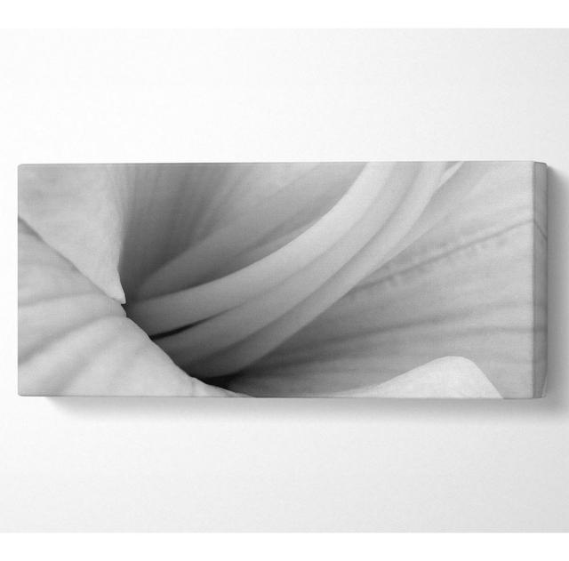 Soft Centre B N W - Wrapped Canvas Panoramic Art Prints Ebern Designs Size: 50.8cm H x 121.9cm W x 10cm D on Productcaster.