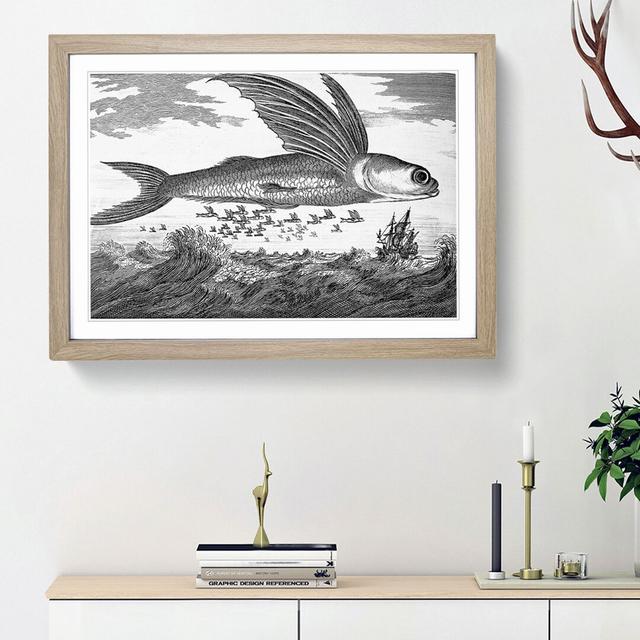 Flying Fish by Thomas Astley - Picture Frame Drawing Print East Urban Home Size: 36cm H x 48cm W x 2cm D, Frame Option: Oak Framed on Productcaster.