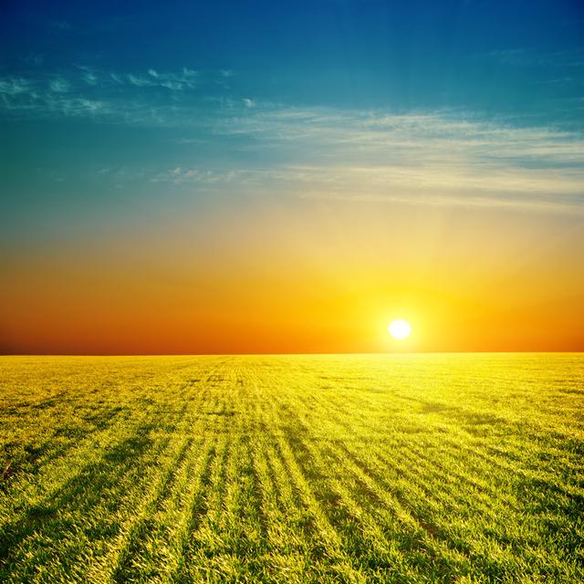 Sunset over Green Field by Mycola - Wrapped Canvas Photograph Latitude Run Size: 76cm H x 76cm W on Productcaster.