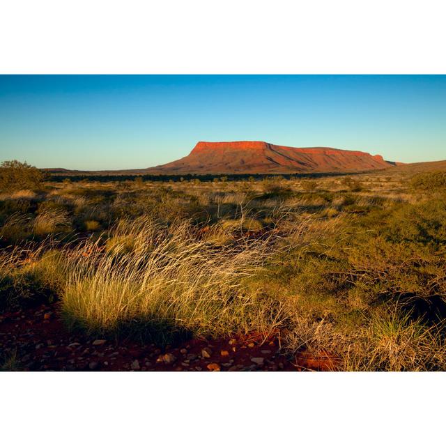 Outback Sunrise by Unknown - Wrapped Canvas Photograph 17 Stories Size: 51cm H x 76cm W on Productcaster.