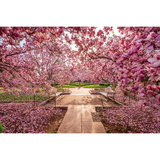 Washington DC Spring Flowers - Wrapped Canvas Print Ebern Designs Size: 81cm H x 122cm W on Productcaster.