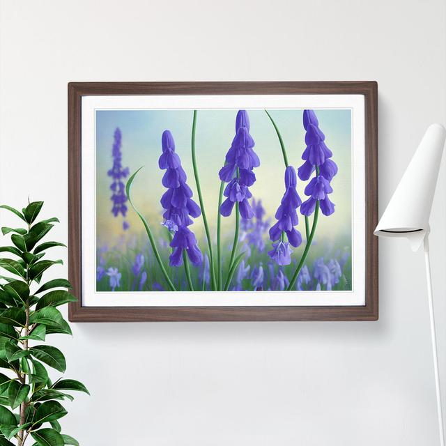 Bluebell Flower Vol.2 - Picture Frame Painting 17 Stories Size: 46cm H x 64cm W x 2cm D, Frame Colour: Walnut Framed on Productcaster.